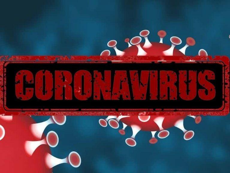 COVID-19: visando a Itália e a Coréia do Sul? “A cadeia de transmissão da infecção”