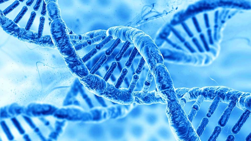 Craccato il codice genetico umano, dà proteine mai viste