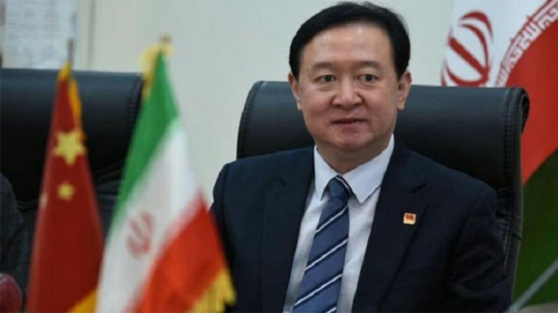 中国驻伊朗大使：同舟共济，守望相助