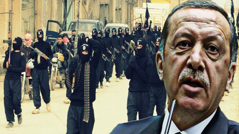 Nusra cephesi teröristleri Türkiye'den özür diledi