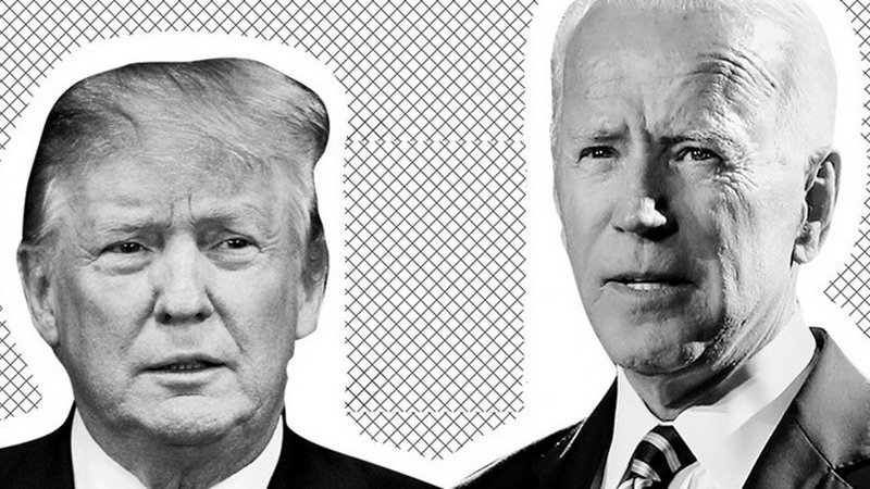 Перевес Байдена над Трампом составляет 8%