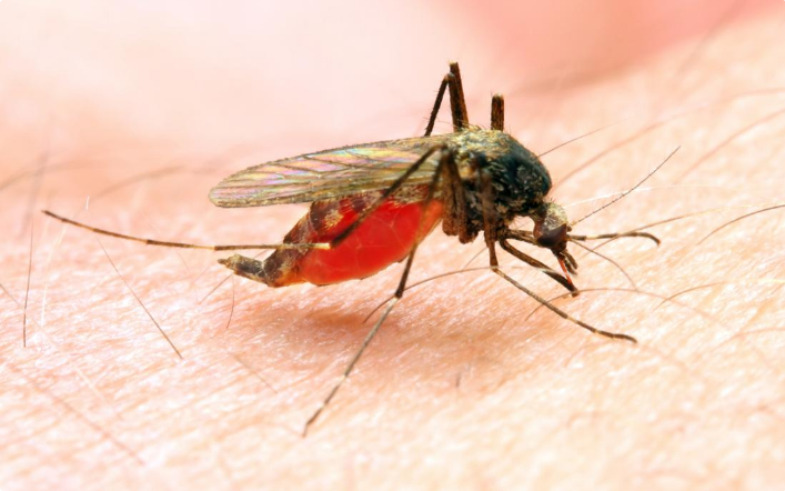 Yau Ta Ke Ranar Yaki Da Zazzabin Malaria