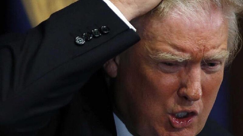 Немецкие СМИ высмеивают неэффективность правительства Трампа в отношении эпидемии Ковид-19