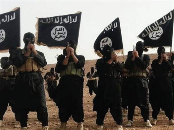 محافظ نينوى يكشف عن مصادر تمويل تنظيم "داعش"