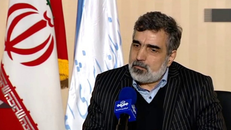 Кямалванди: в страну поступила новая партия топлива необходимого для Бушерской атомной электростанции объемом 38 тонн