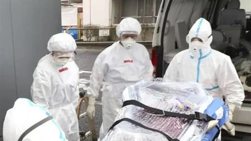 全球超过24万人死于冠病