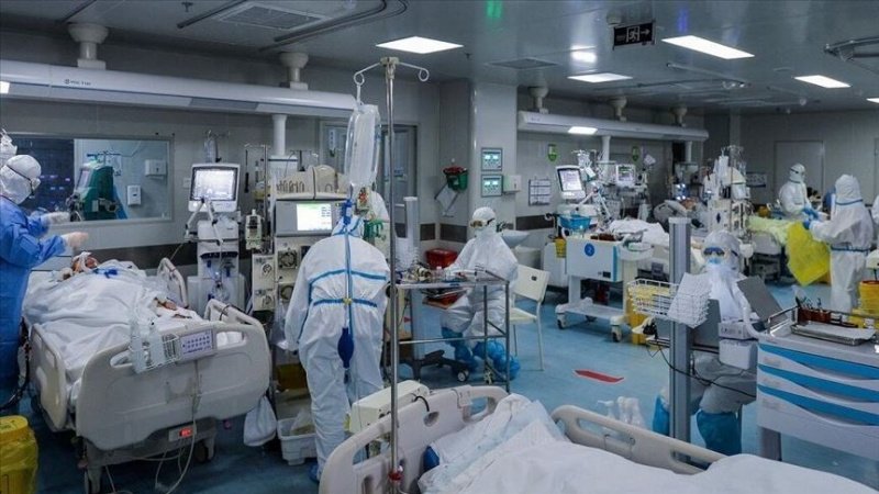 Начало процесса производства в Иране специальных антител к коронавирусу