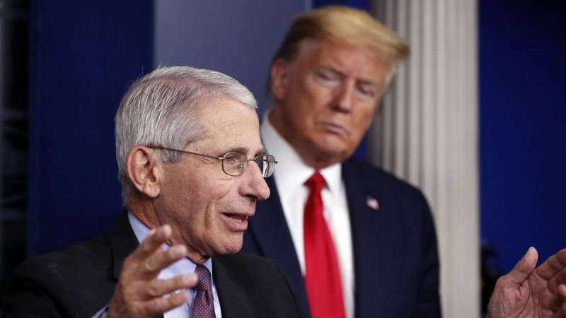Известный американский врач опроверг гипотезу Трампа
