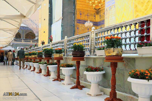 Photos: Imam Ali (AS) Holy Shrine decorated ahead of birth anniversary of Imam Hasan (AS)