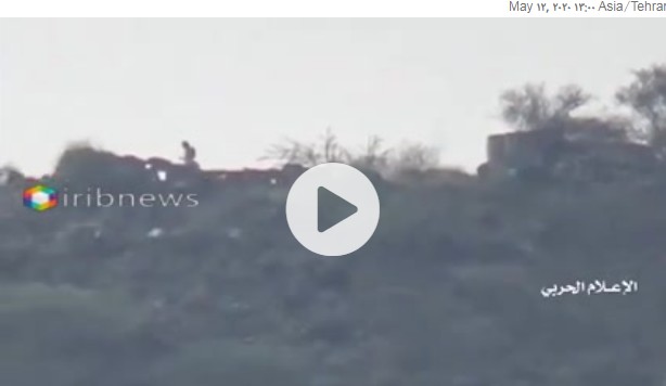 یمنی شکاری جارح سعودی نمکخواروں کا شکار کرتے ہوئے + ویڈیوز
