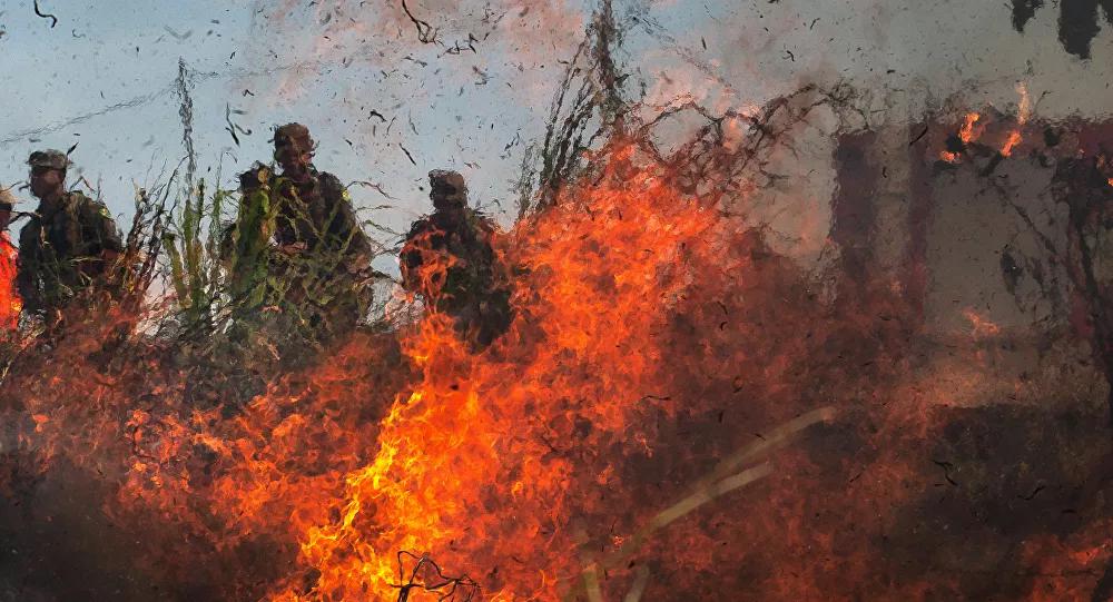 ONG dos EUA critica envio de tropas de Bolsonaro à Amazônia: 'Quer abrir a floresta aos negócios'