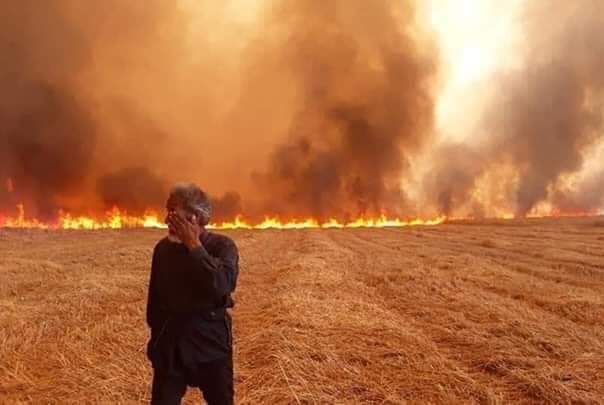 طيران "الاحتلال الأمريكي" يحرق مئات الدونمات الزراعية في شمال سوريا
