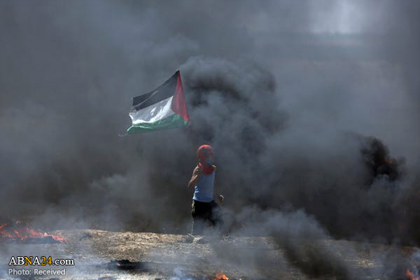 Video: Virtual photography, design exhibition on Palestine