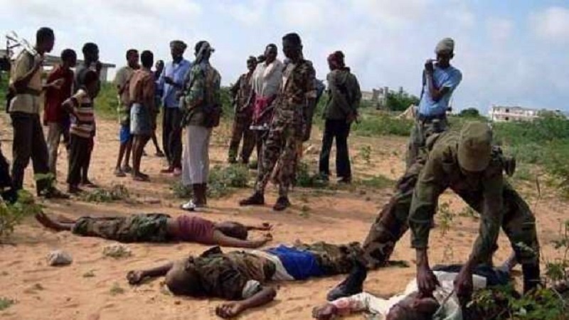 Jeshi la Somalia laua magaidi wengine 7 wa al-Shabaab