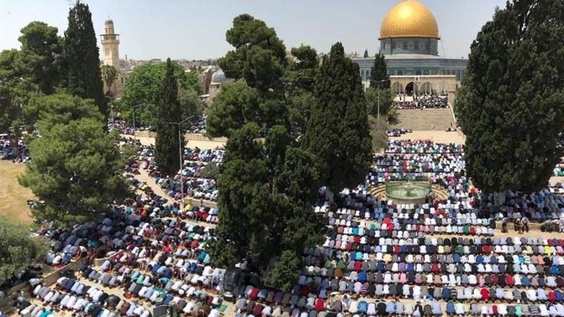 مسجدالاقصی اور مسجدالنبی (ص) کے دروازے کھل گئے مسجدالاقصی اور مسجدالنبی (ص) کے دروازے کھل گئے