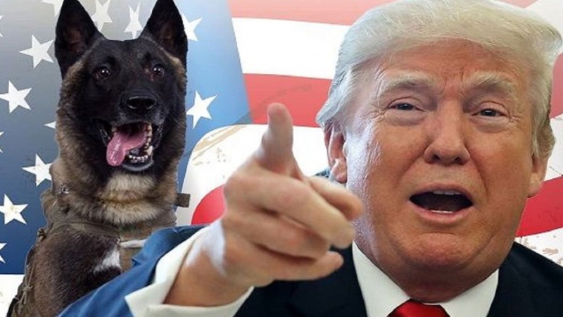 Trump'ın Eski Savunma Bakanını Eleştirmesi ve Onu Aşağılaması