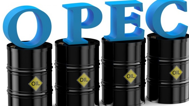 OPEC+维持减产协议，专家意见