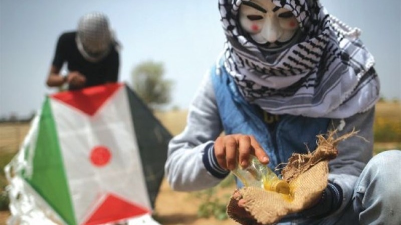 صیہونیوں کی غاصبانہ کارروائیوں پر فلسطینی نوجوانوں کا انوکھا جواب
