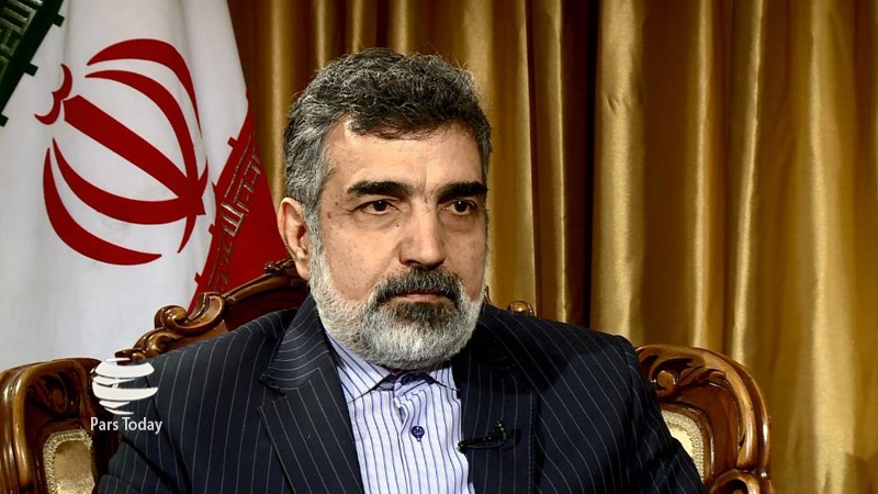  Emir Abdullahian: Bazı Avrupa ülkeleri ABD’nin işgüzarı