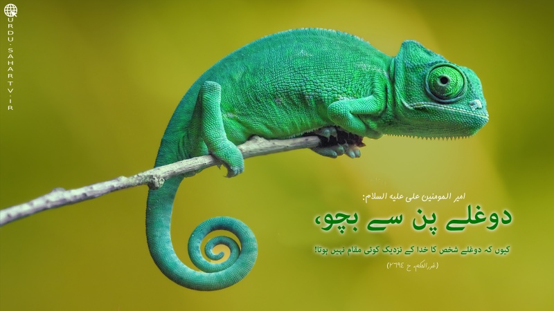 دوغلے پن سے بچو! ۔ پوسٹر
