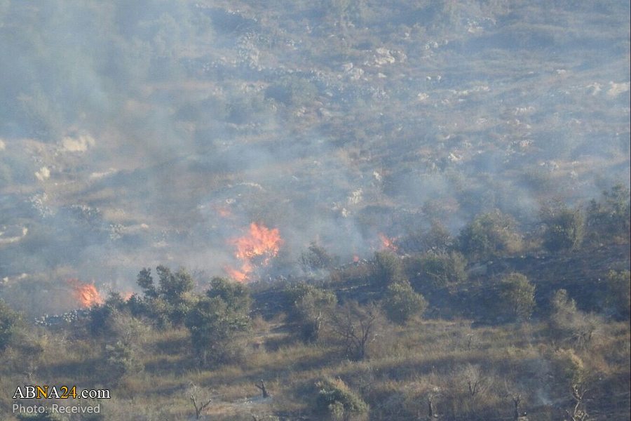 Israeli settlers burn hundreds of olive trees south of Nablus