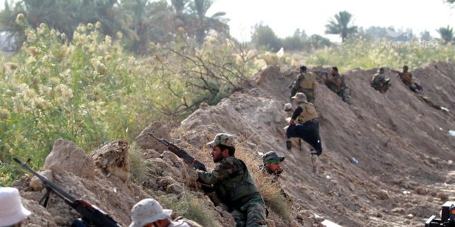 الحشد الشعبي يصد تعرضا لداعش التكفيري في تل الذهب 