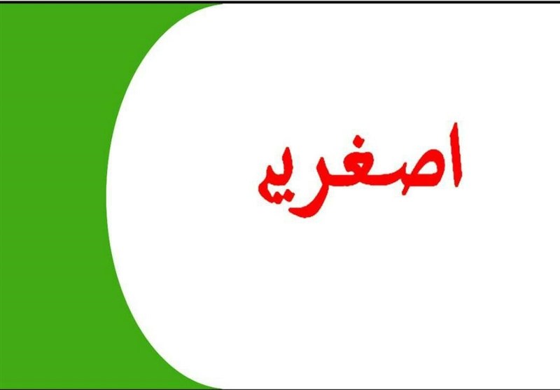 حضرت زہرا(ع) کی شان میں گستاخی کے خلاف اصغریہ علم و عمل تحریک کا مذمتی بیان