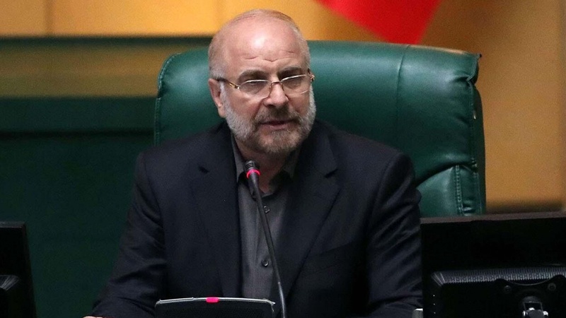 Главы парламентов Японии, Индии, Туниса и Казахстана подчеркнули развитие парламентских отношений с Ираном