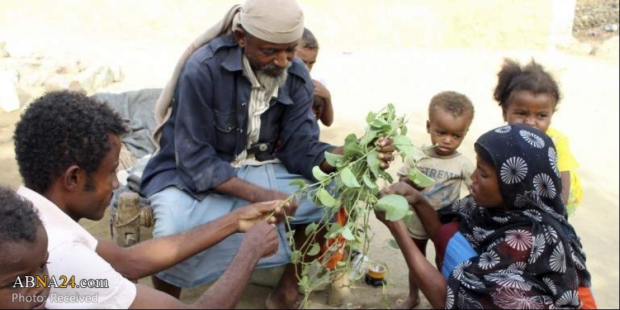 Yemen Crisis: We Have Only Leaves for Cooking & Eating