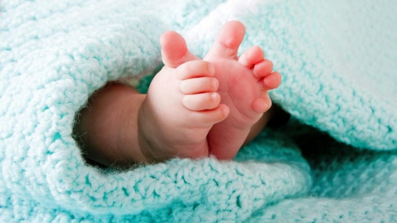 メキシコで人身売買の犯罪グループを摘発、乳幼児含む23人を救出
