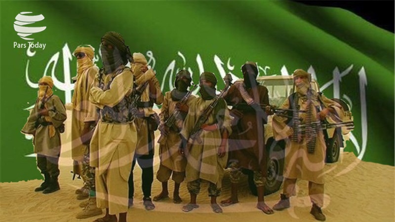 Saudi Rekrut Teroris Daesh dan Al Qaeda untuk Berperang di Yaman