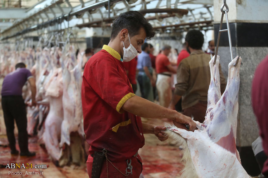 သခင္မႀကီး မစူမာ ကြမ္း (سلام الله علیها ) ၏ ေရာင္ဇာေတာ္  ဘက္မွ ကုရ္ဘာနီ ျပဳလုပ္ ။ ။ photos 