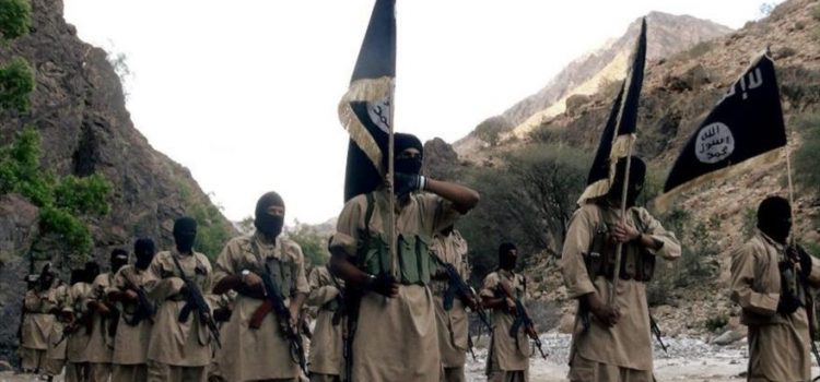 مقاتلات العدوان السعودي تساند القاعدة وداعش التكفيريتين المنهارة في البيضاء