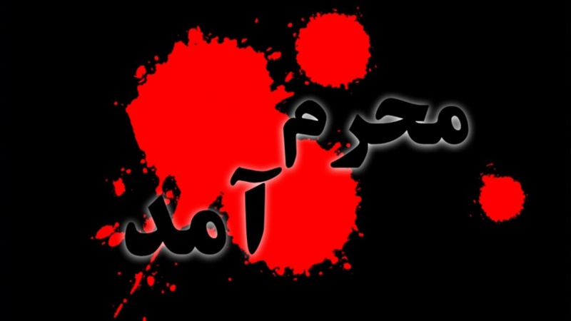 محرم آ گیا، زہرا (س) کو ان کے لال کا پرسہ دینا ہے