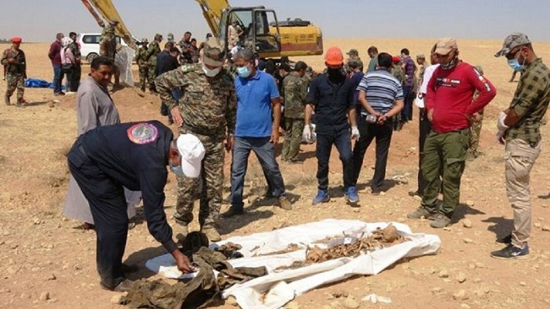 Обнаружение 2 массовых захоронений в сирийской провинции Ракка