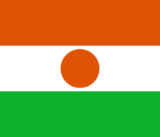 Niger:An Fara Tantance Rijistar Masu Zabe
