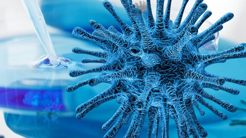 Biowaffenforschung in den USA und das Coronavirus