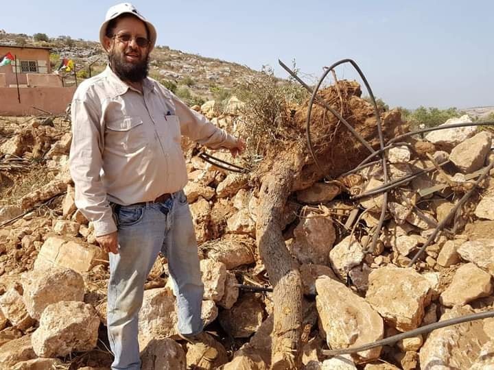 جرافات الاحتلال تقلع 200 شجرة مثمرة في القدس المحتلة+(صور)