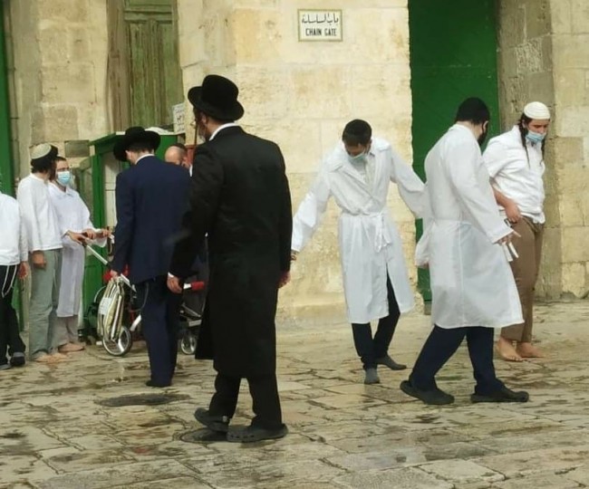 متطرفون يقتحمون الأقصى ويدنسون الجامع القبلي احتفالا بالسنة العبرية