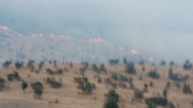 Siria, vasti incendi in 4 province: vittime