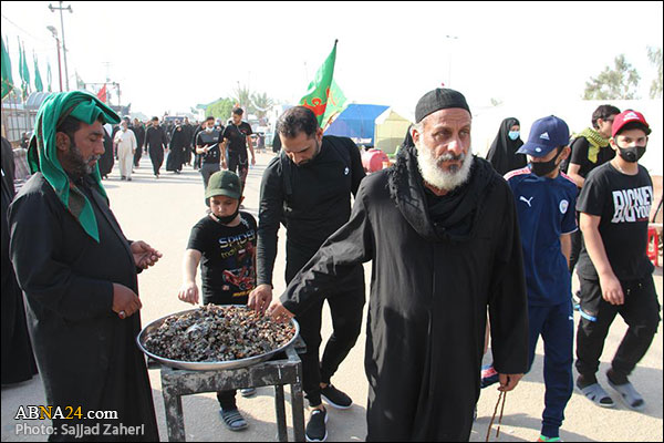 تقرير مصور/ تقديم الخدمات لزوار أربعينية الامام الحسين (ع) في مسير النجف - كربلاء (2)
