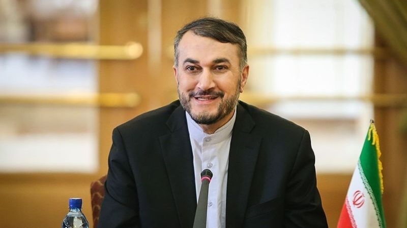 阿米尔·阿卜杜拉希安：为苏雷曼尼将军复仇不仅仅是对艾因·阿萨德进行的袭击