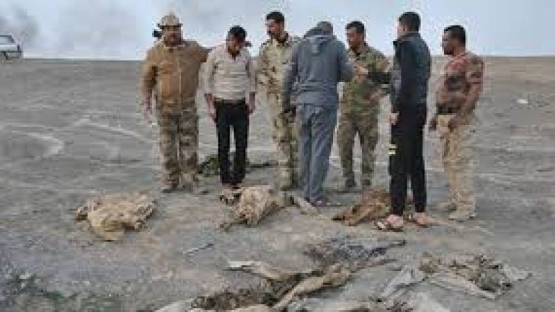 इराक़ में दाइश का फिर आतंक, 12 का अपहरण, 8 को गोलियों से भूना, 4 लापता