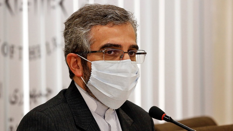 イラン人権本部長、「国連報告者の報告に法的信用性はない」