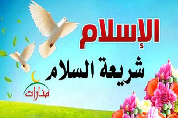 تنظيم ندوة إفتراضية بعنوان "الإسلام والسلام والعلاقات الدولية" 