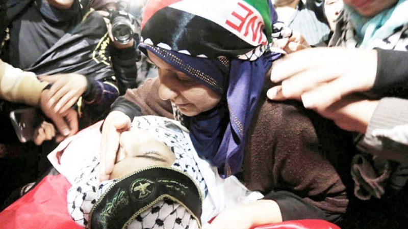 Мученичество более 3000 палестинских детей с начала Интифады Аль-Акса