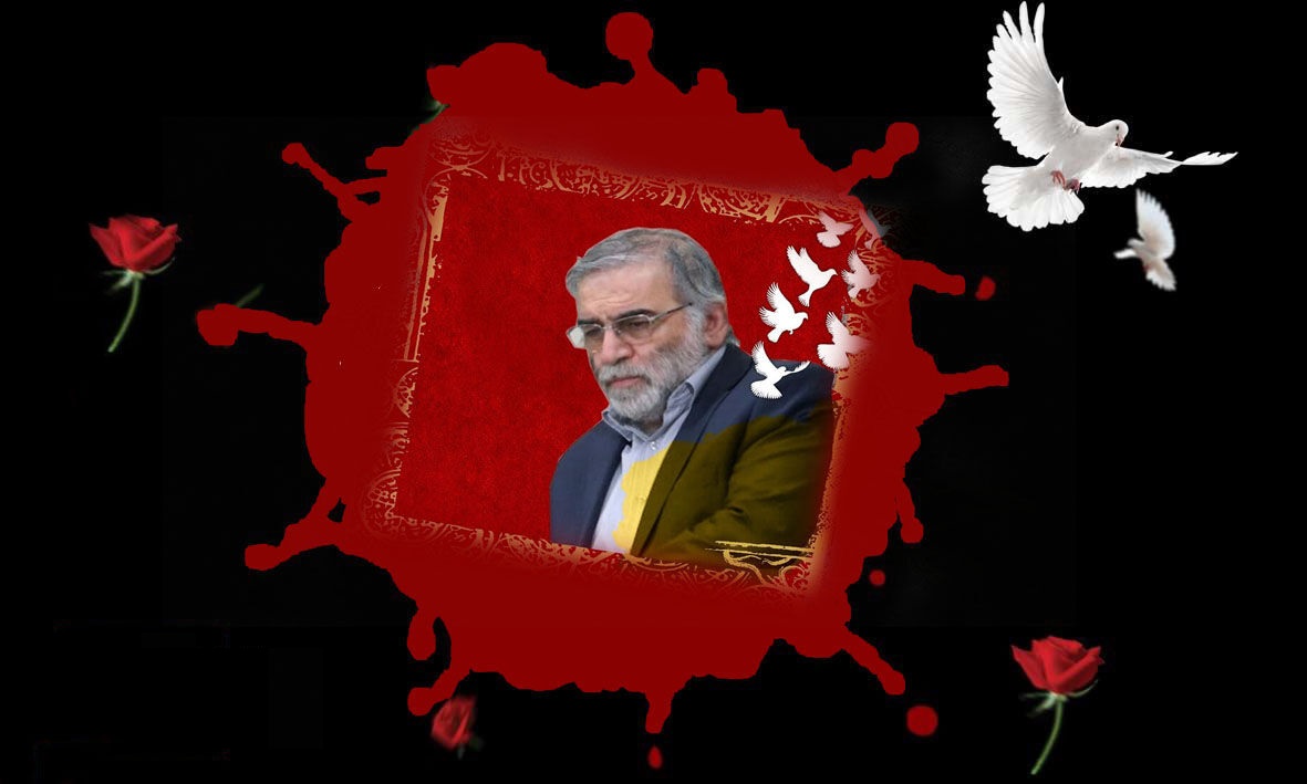 عالمی برادری کو شہید فخری زادے کے قتل کی مذمت کرنا ہو گی