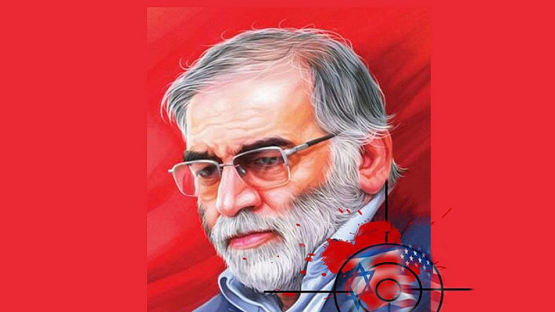 दुनिया में कोई दूसरा उदाहरण नहीं...केवल इस्राईली सरकार है जो विरोधी देशों के वैज्ञानिकों और राजनेताओं की हत्या करके उस पर गर्व भी करती हैः इस्राईली लेखक