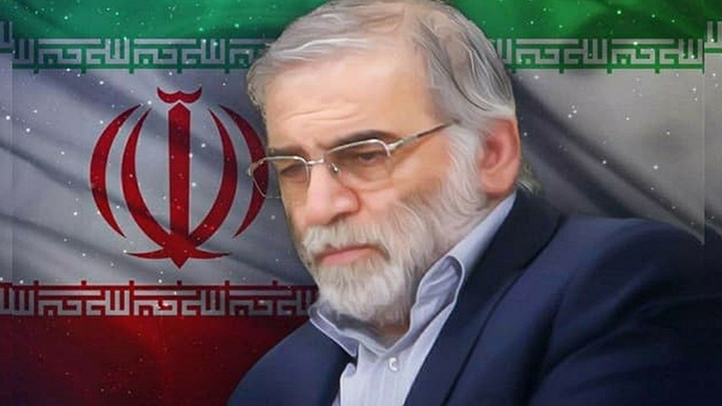 Şehit Muhsin Fahrizade anısına