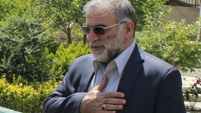 تقرير مصور / الشهيد محسن فخري زادة